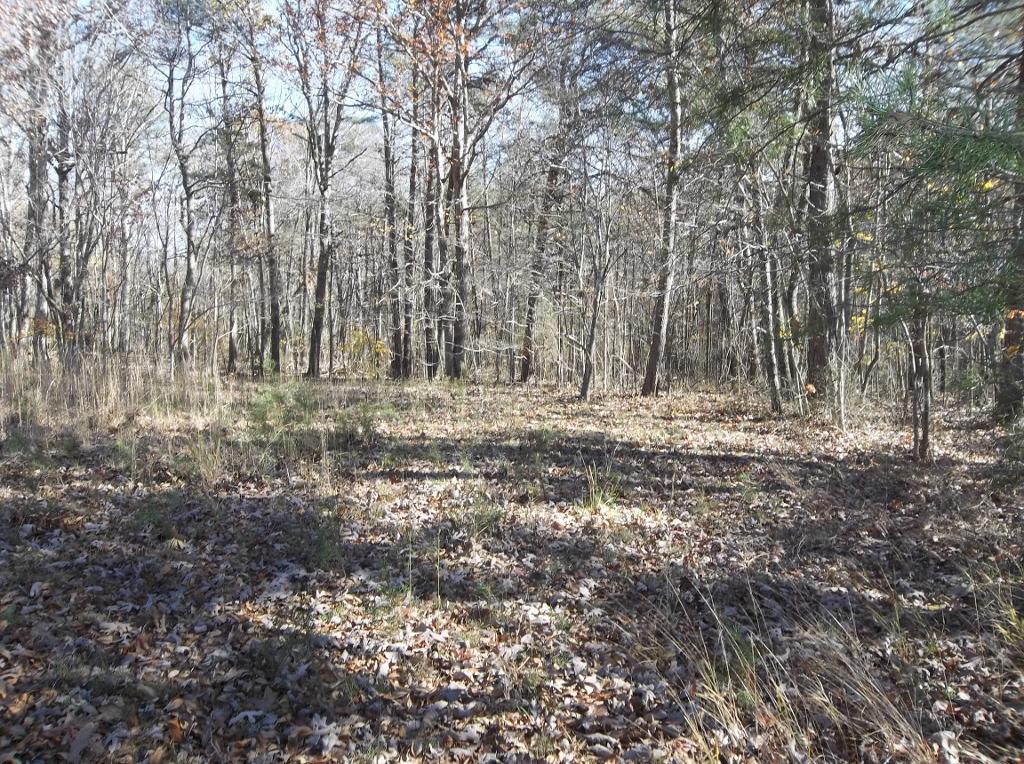 1494 Golden Pointe Road, Unit 9 Spencer, TN 38585 - Photo 15 of 24 100_2589 (1024x764)