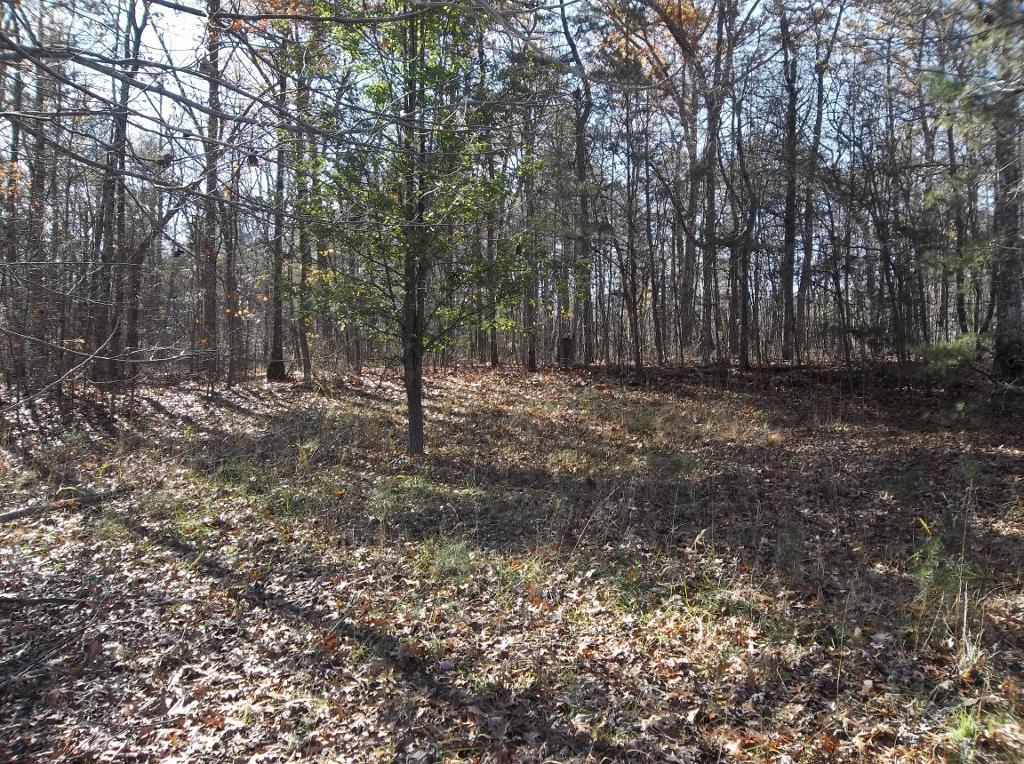 1494 Golden Pointe Road, Unit 9 Spencer, TN 38585 - Photo 16 of 24 100_2592 (1024x764)