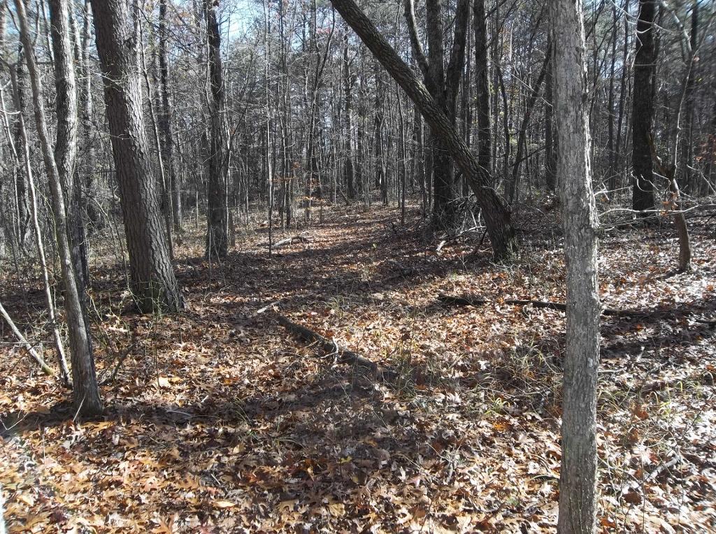 1494 Golden Pointe Road, Unit 9 Spencer, TN 38585 - Photo 18 of 24 100_2594 (1024x764)
