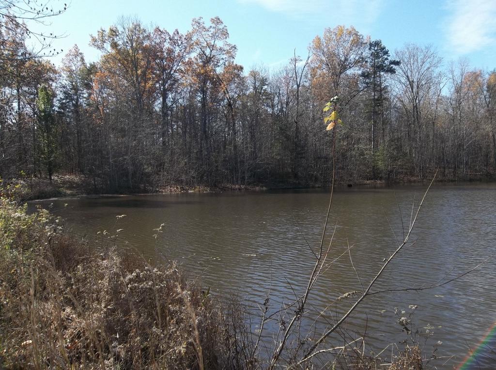 1494 Golden Pointe Road, Unit 9 Spencer, TN 38585 - Photo 2 of 24 100_2591 (1024x764)
