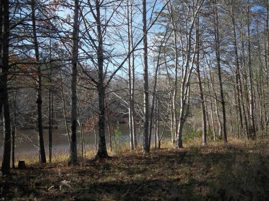 1494 Golden Pointe Road, Unit 9 Spencer, TN 38585 - Photo 3 of 24 100_2584 (1024x764)