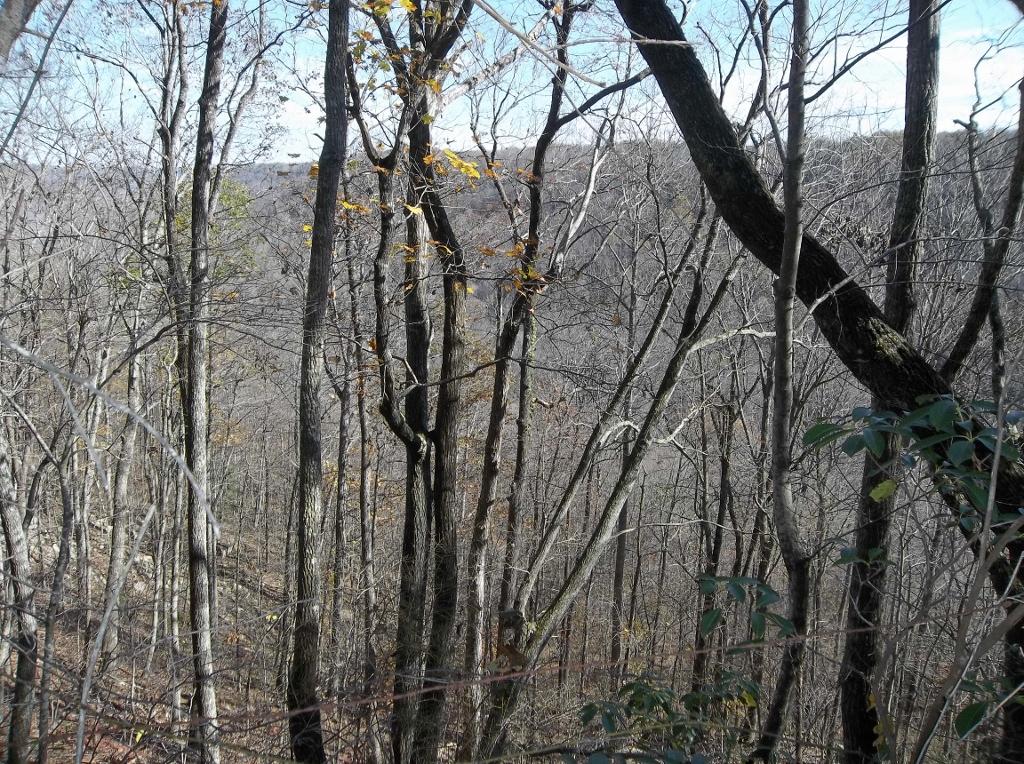 1494 Golden Pointe Road, Unit 9 Spencer, TN 38585 - Photo 5 of 24 100_2596 (1024x764)