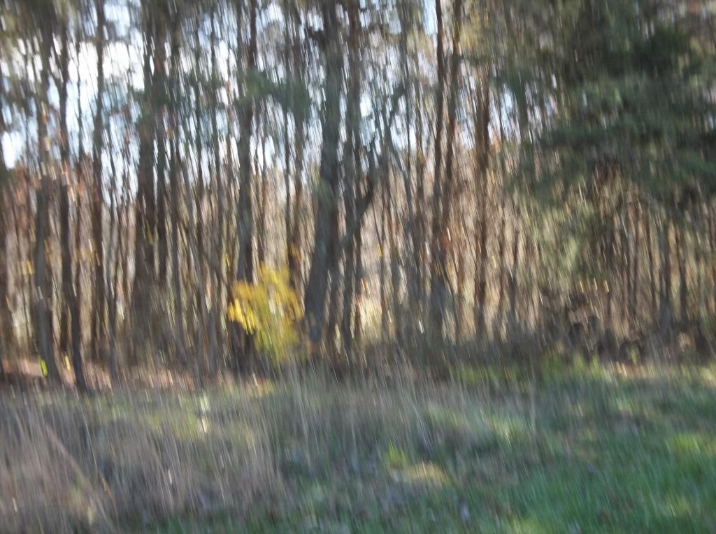1494 Golden Pointe Road, Unit 9 Spencer, TN 38585 - Photo 9 of 24 100_2581 (1024x764)