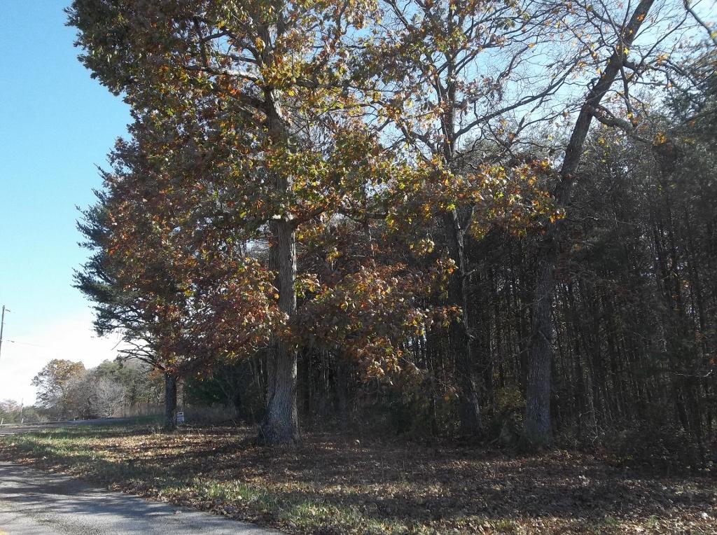 1494 Golden Pointe Road, Unit 9 Spencer, TN 38585 - Photo 10 of 24 100_2583 (1024x764)