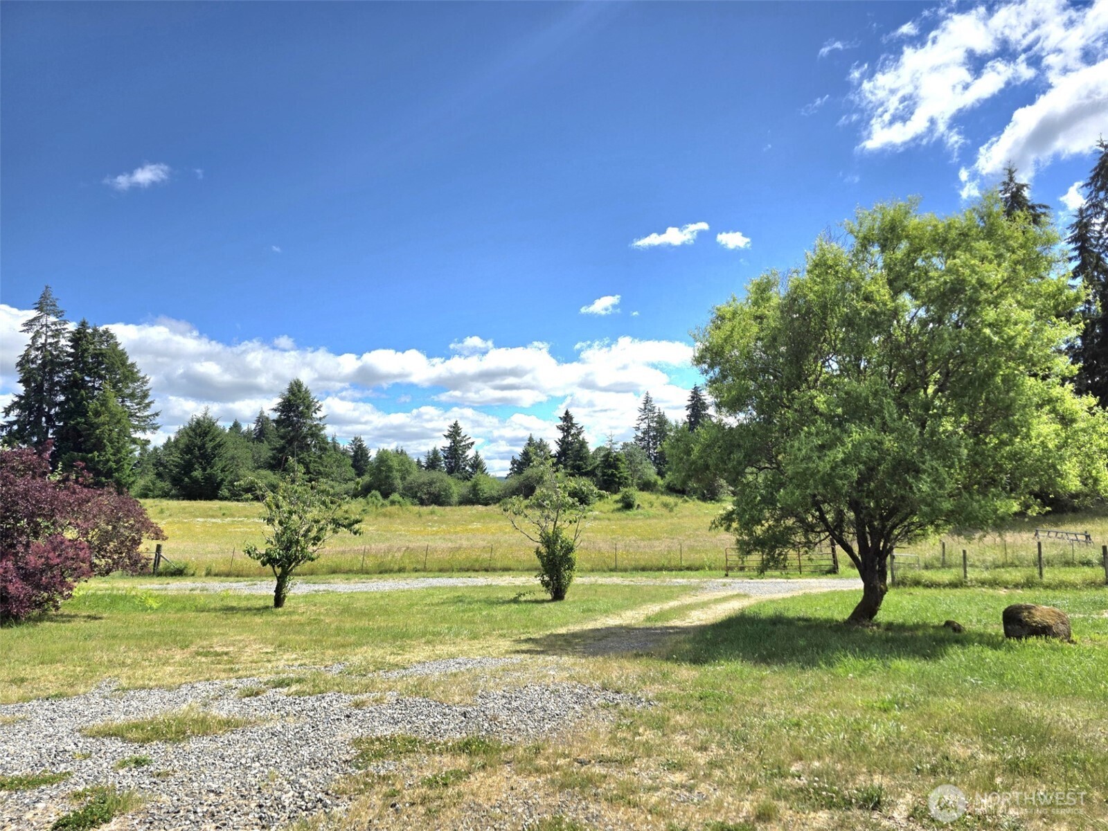 11916 Fillman Road Southeast Rainier, WA 98576 - Photo 28 of 33