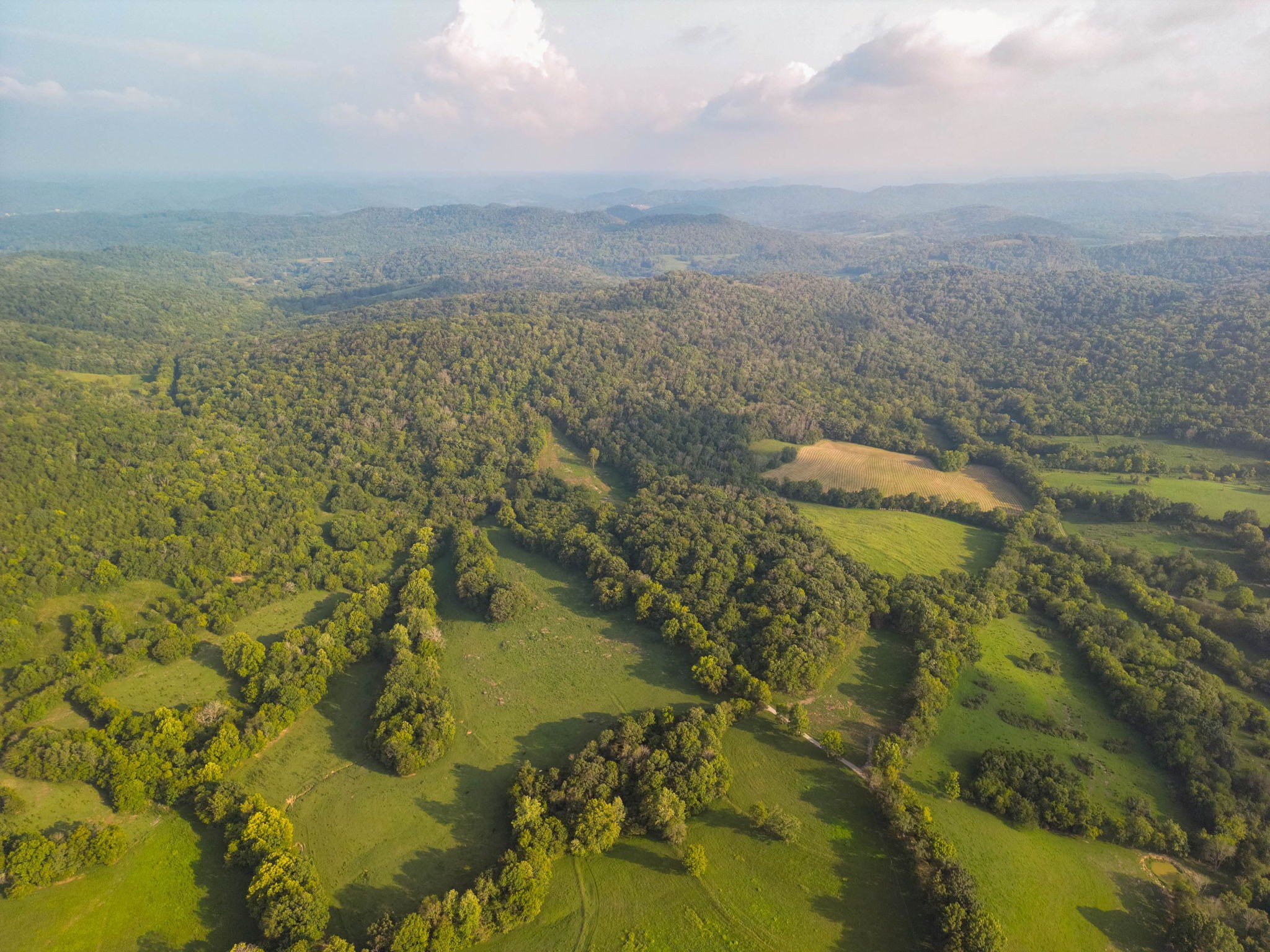 0 Oakley Hollow Road Alexandria, TN 37012 - Photo 1 of 59 Gallery Image 1
