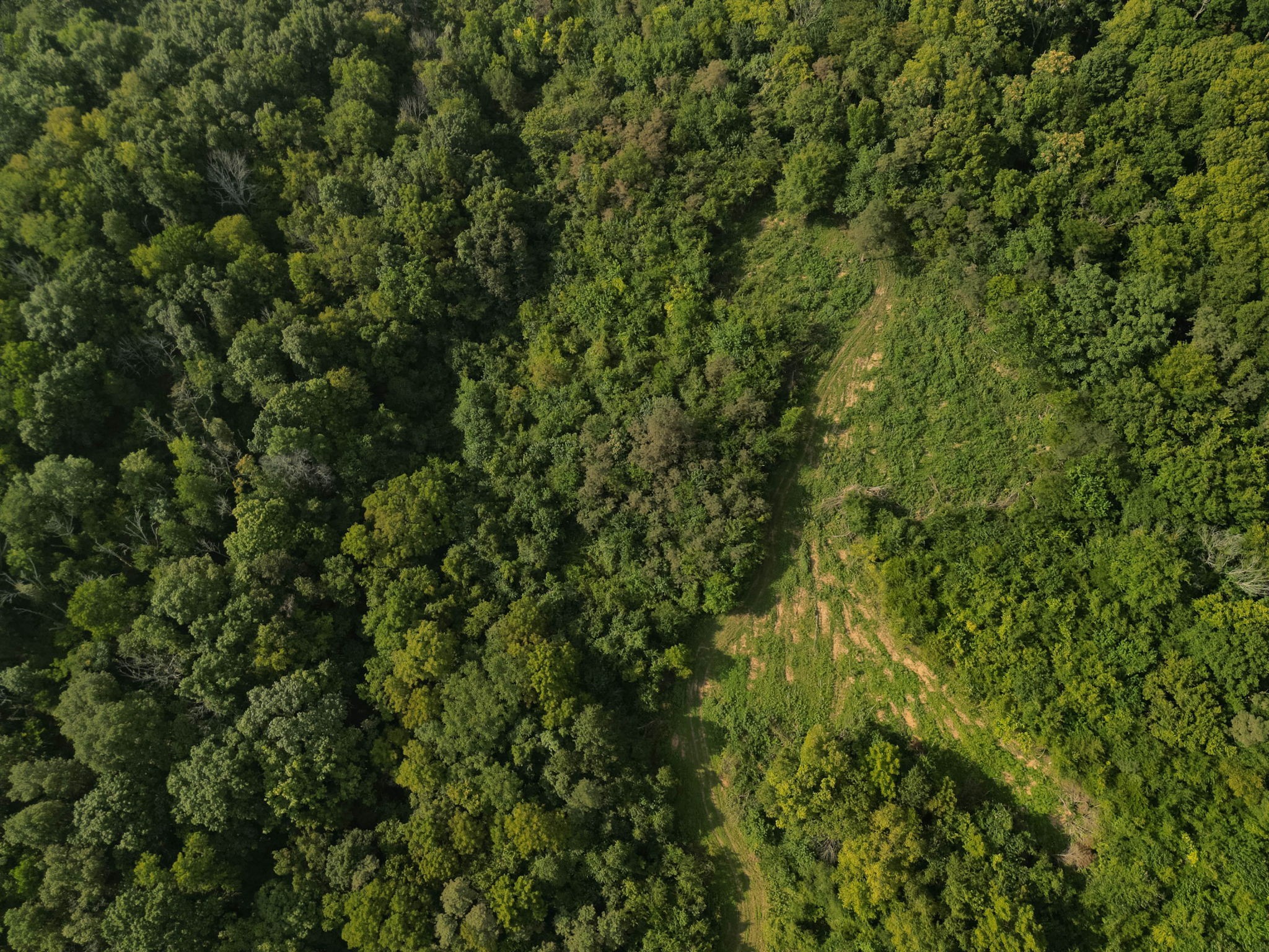 0 Oakley Hollow Road Alexandria, TN 37012 - Photo 33 of 59 Gallery Image 33