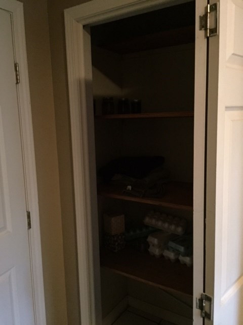 238 Ridge Road Chunky, MS 39323 - Photo 14 of 32 Storage closet