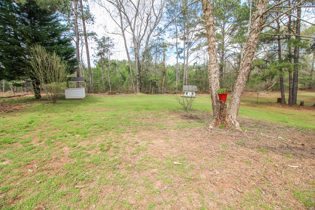 657 Oliver Road Pine Mountain, GA 31822 - Photo 45 of 47 Gallery Image 45