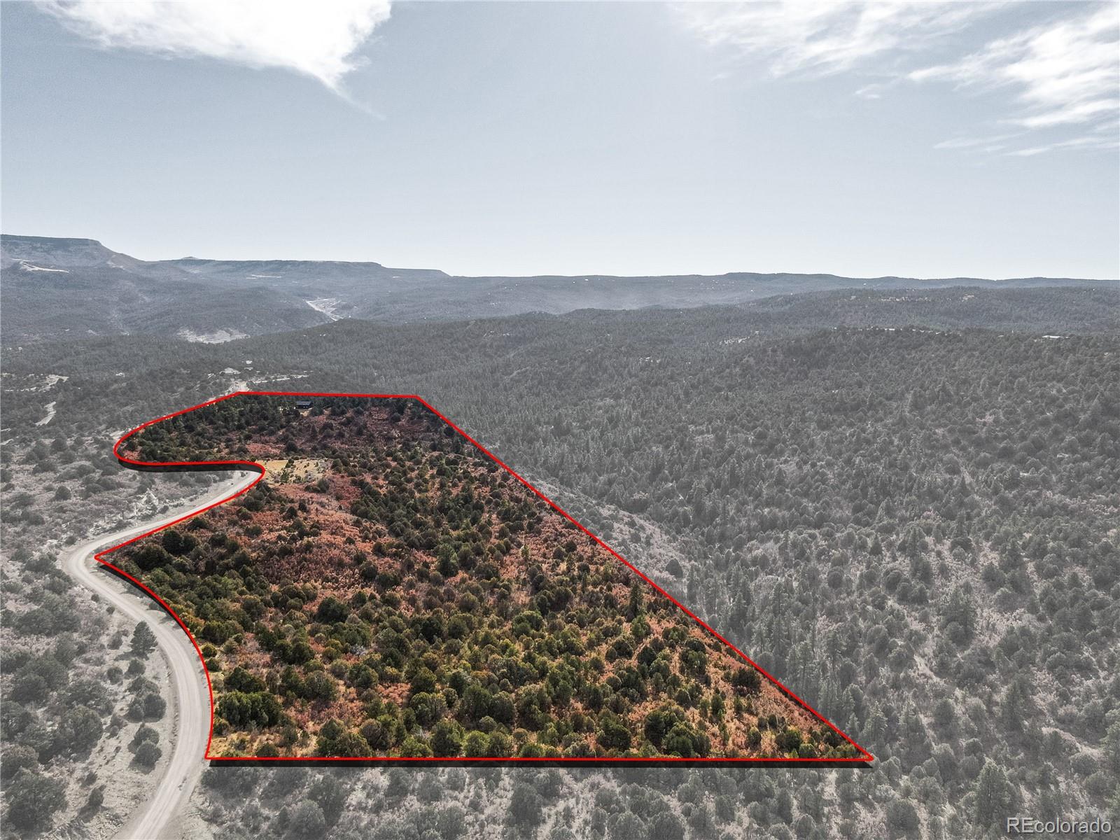 33191 Elk Park Road Trinidad, CO 81082 - Photo 33 of 33 a view of wooden floor