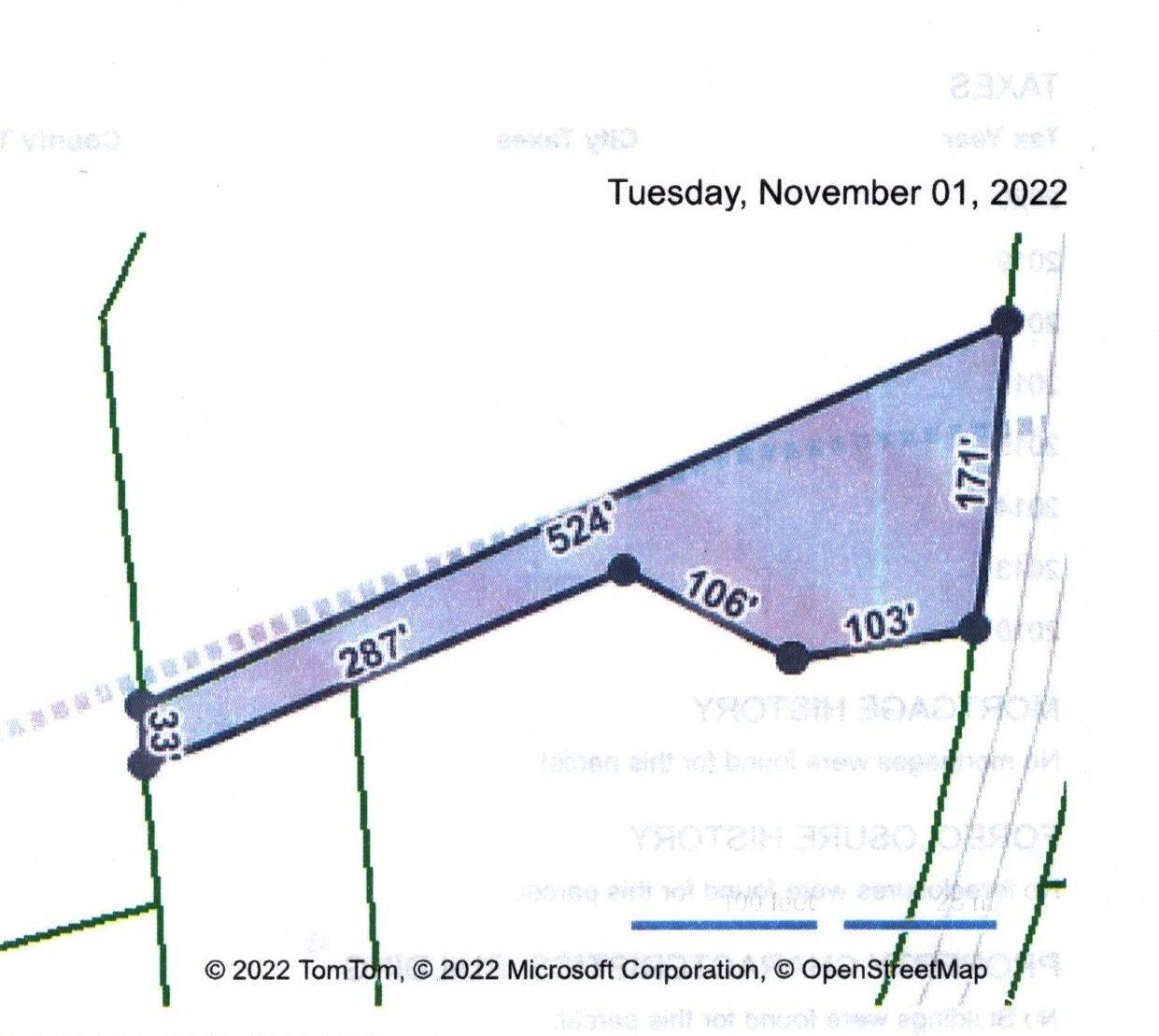 Tract A South Browns Way Shortcut Road Conway, SC 29527 - Photo 2 of 7