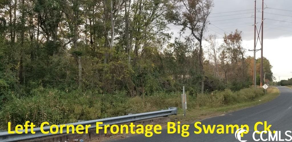 Tract A South Browns Way Shortcut Road Conway, SC 29527 - Photo 3 of 7