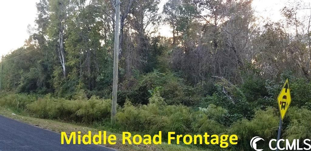 Tract A South Browns Way Shortcut Road Conway, SC 29527 - Photo 4 of 7