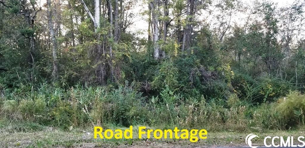 Tract A South Browns Way Shortcut Road Conway, SC 29527 - Photo 5 of 7