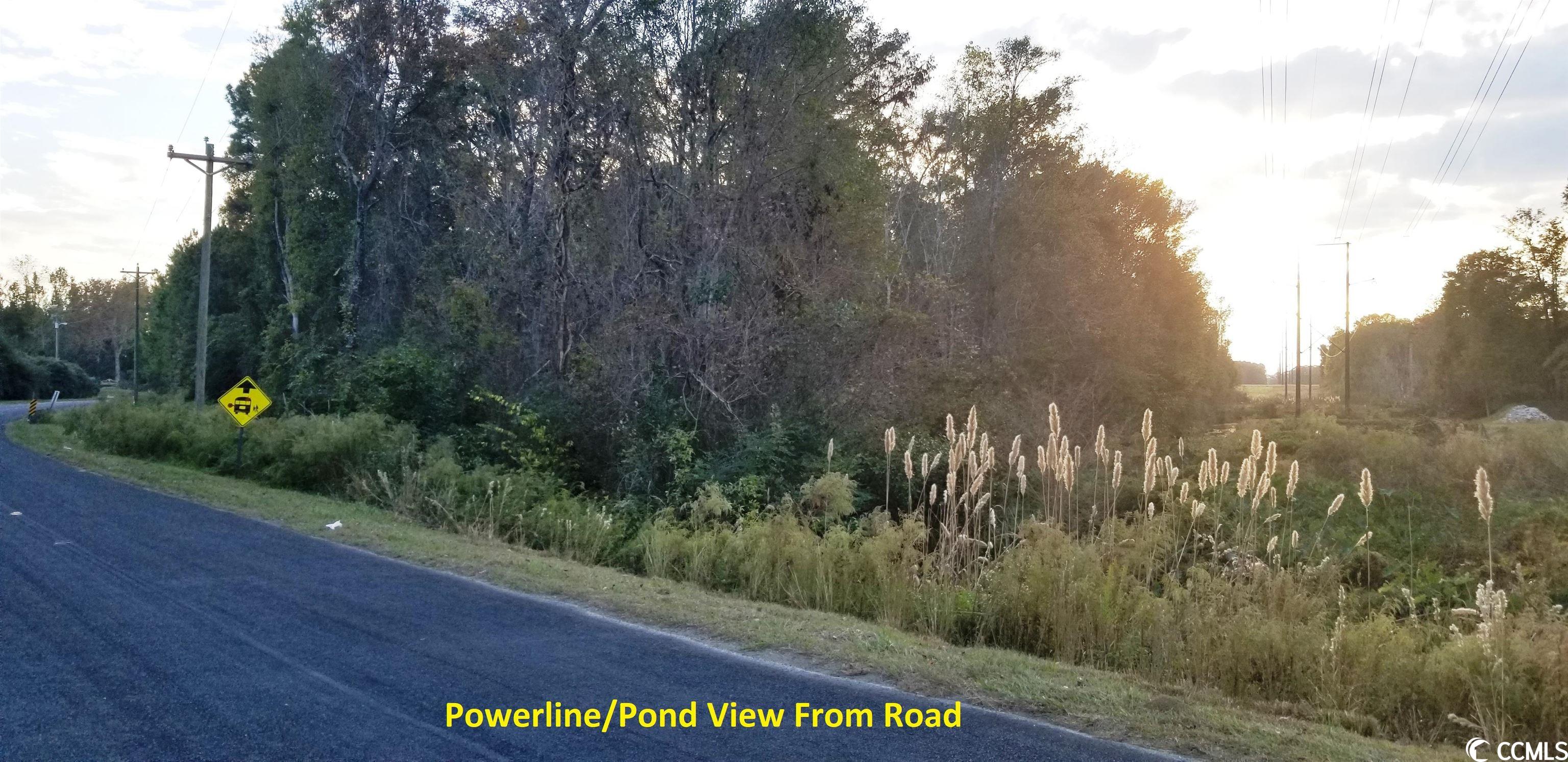 Tract A South Browns Way Shortcut Road Conway, SC 29527 - Photo 7 of 7