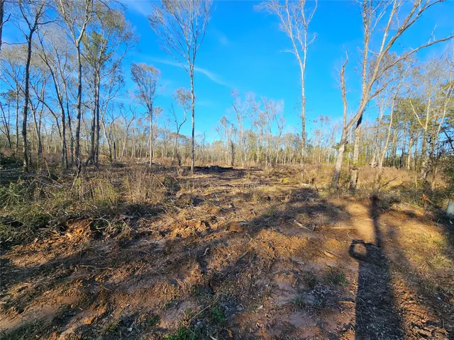 a view of a yard with trees