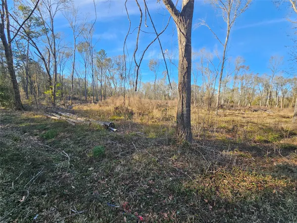 a view of a backyard of the house