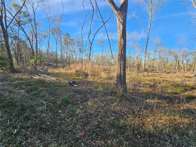 a view of a backyard of the house