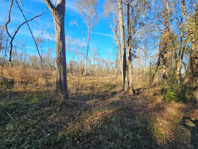 a view of a yard with trees