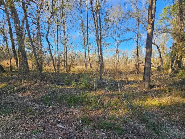 a view of yard with green space