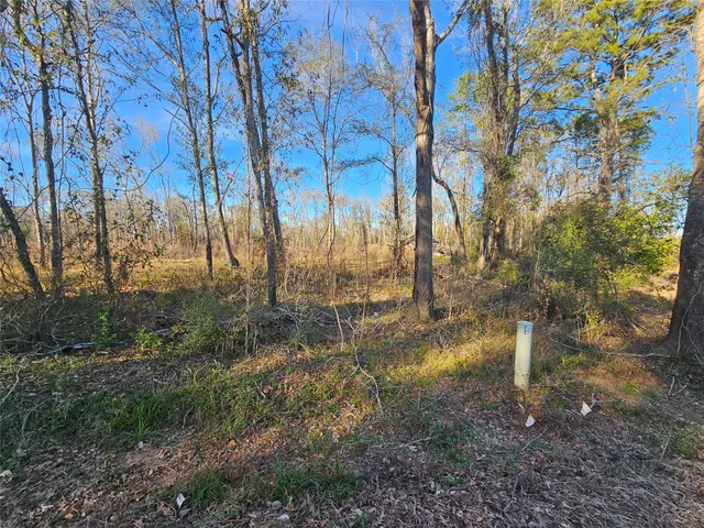 a view of a backyard with trees
