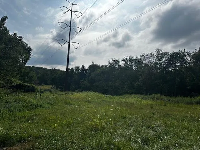 a view of a green filed