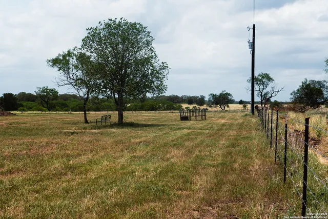 a view of a park with large trees