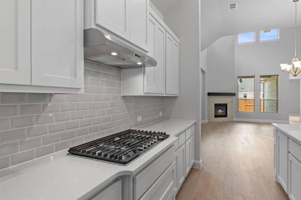 4160 Gambel Road Prosper, TX 75078 - Photo 15 of 37 DAL_Windsong_Kilgore IV_4160 Gambel Road (12)