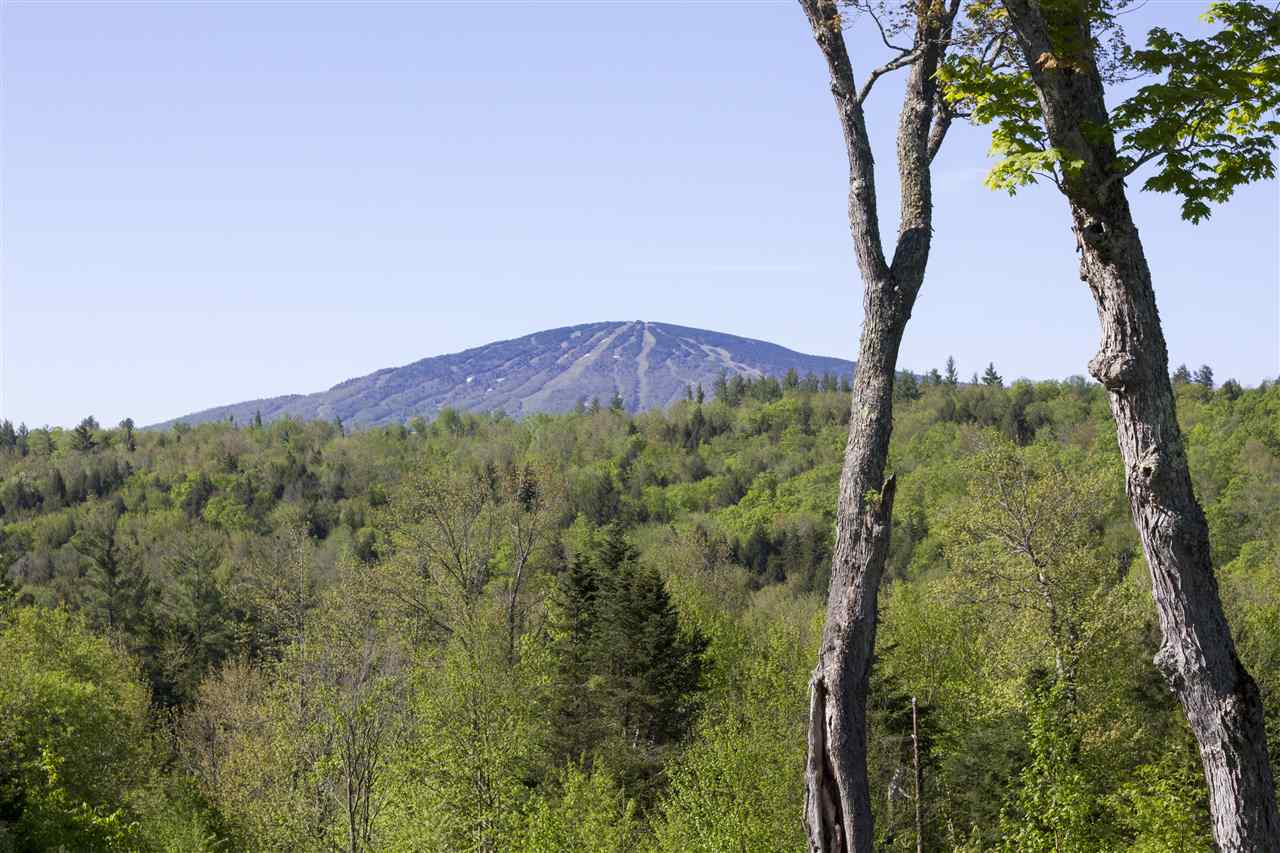 262 French Hollow Road Winhall, VT 05340 - Photo 3 of 33 Gallery Image 3