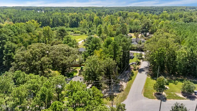a view of a garden with an outdoor space