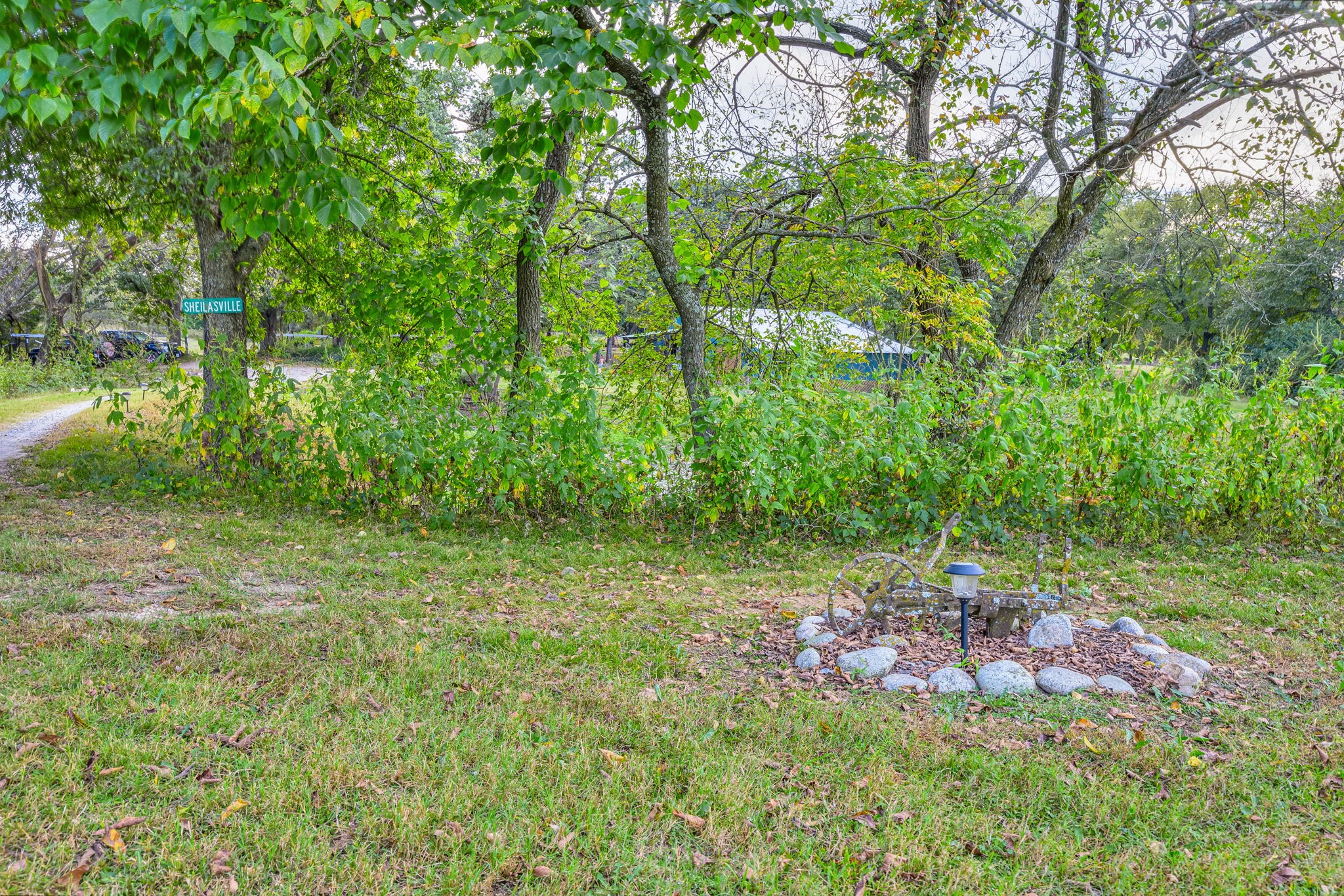 312 Magnus Road Denison, TX 75021 - Photo 24 of 50 a big yard with lots of green space and deers