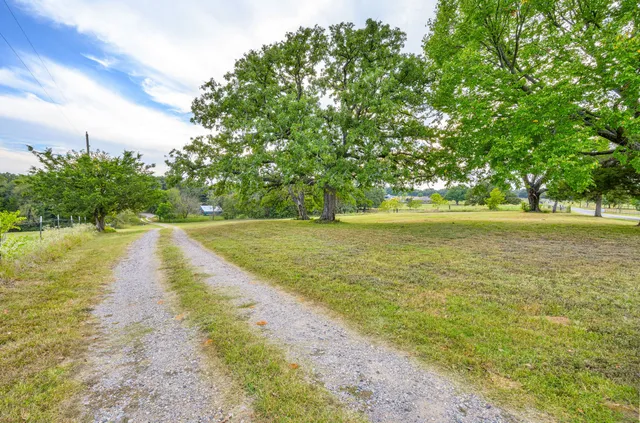 a view of an ocean and trees