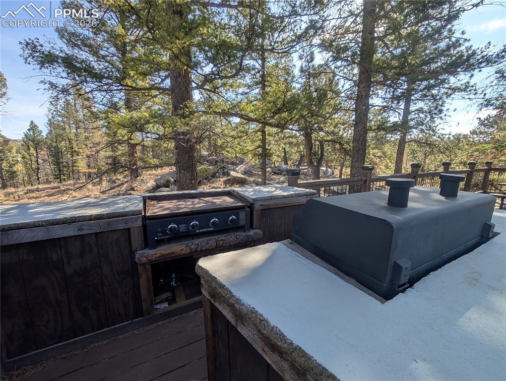1176 Trail Creek Road Lake George, CO 80827 - Photo 10 of 34