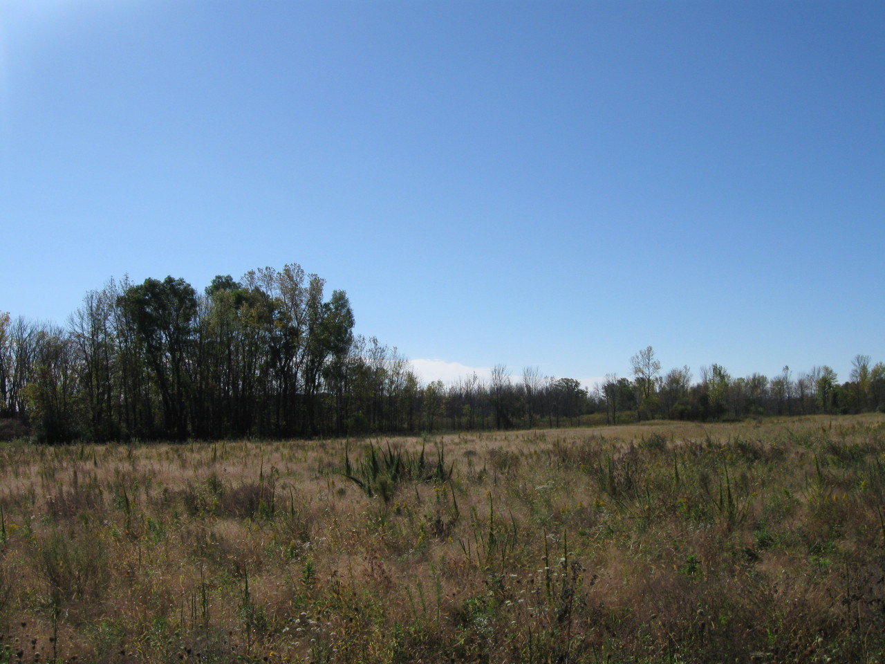 Land