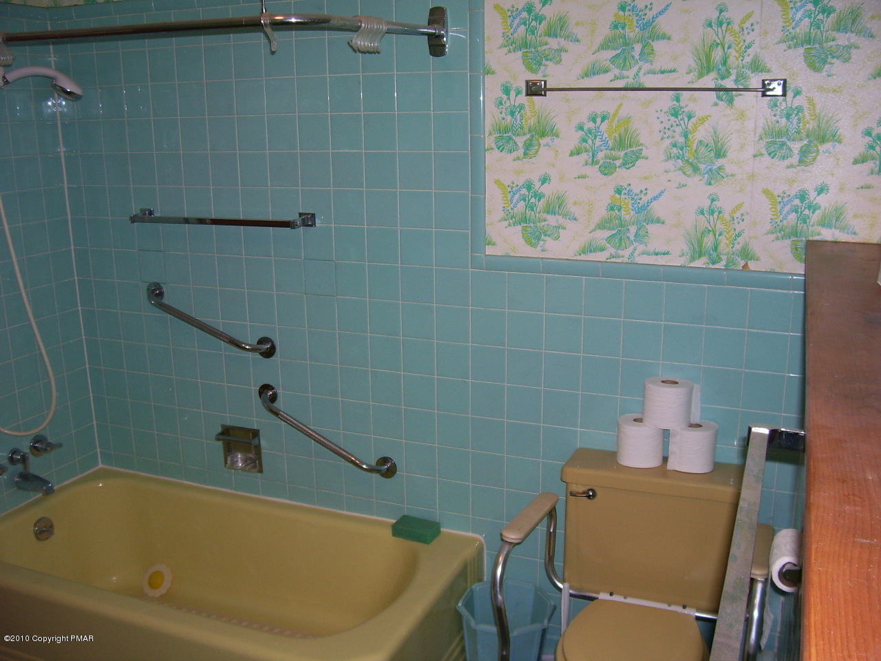 185 Wiscasset Road Mount Pocono, PA 18344 - Photo 11 of 14 Main bath view b