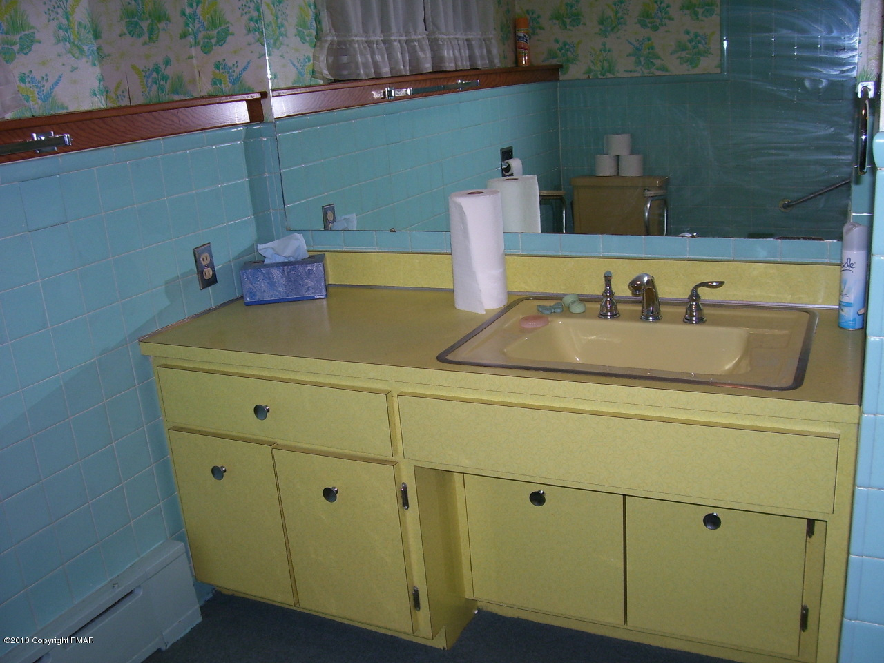 185 Wiscasset Road Mount Pocono, PA 18344 - Photo 10 of 14 Main bath view a