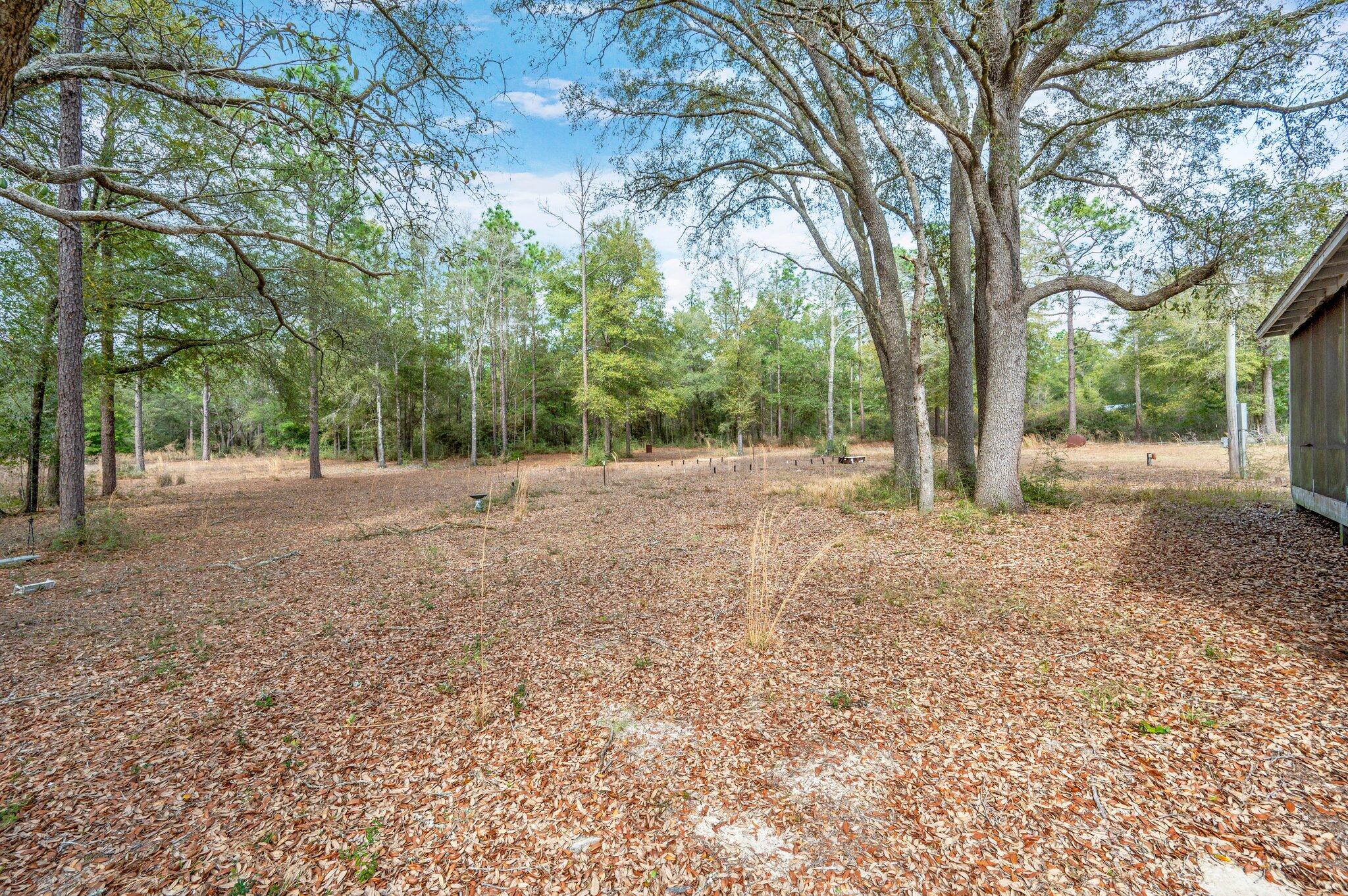 4507 Rainbird Rise Road Crestview, FL 32539 - Photo 28 of 33 a view of outdoor space with large trees