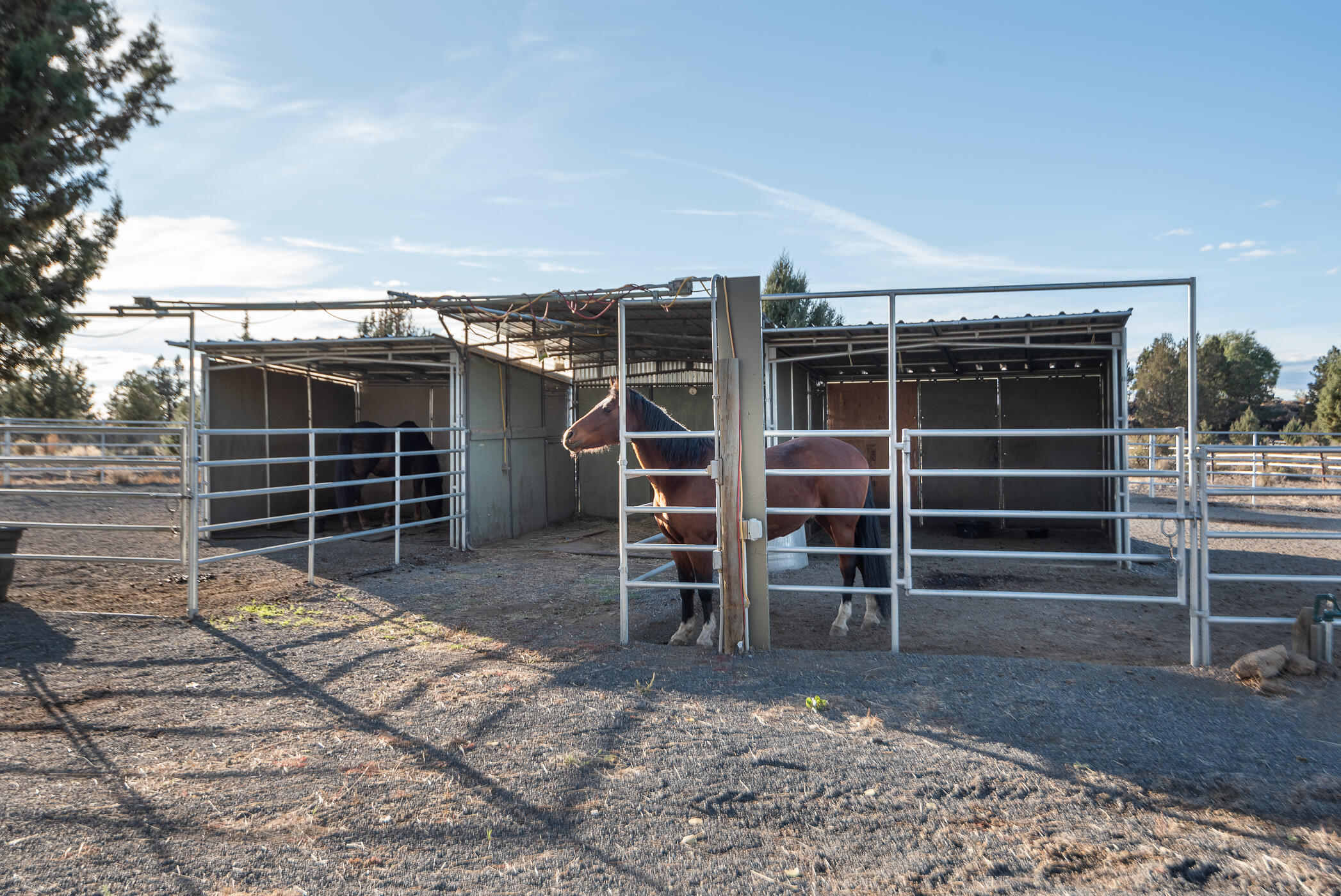 60835 Jennings Road Bend, OR 97702 - Photo 41 of 53 run-ins and happy horses