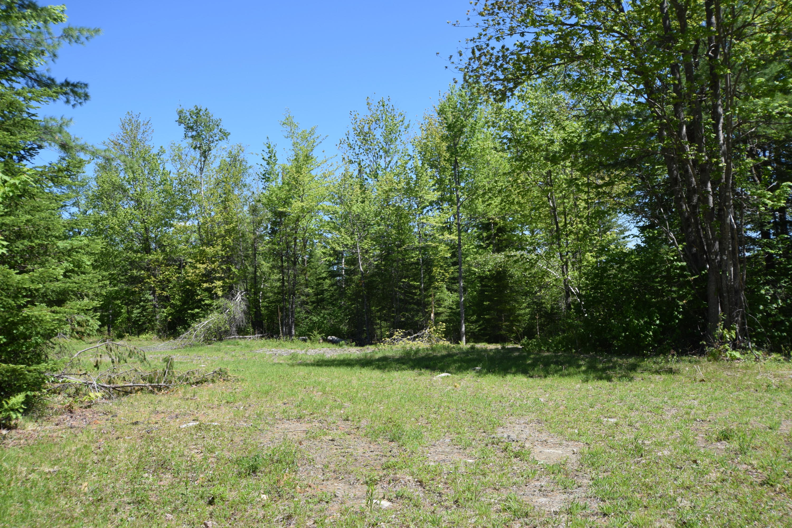 Lot 18 Tenney Hill Road Monson, ME 04464 - Photo 2 of 41 2020-06-01 23.12.56