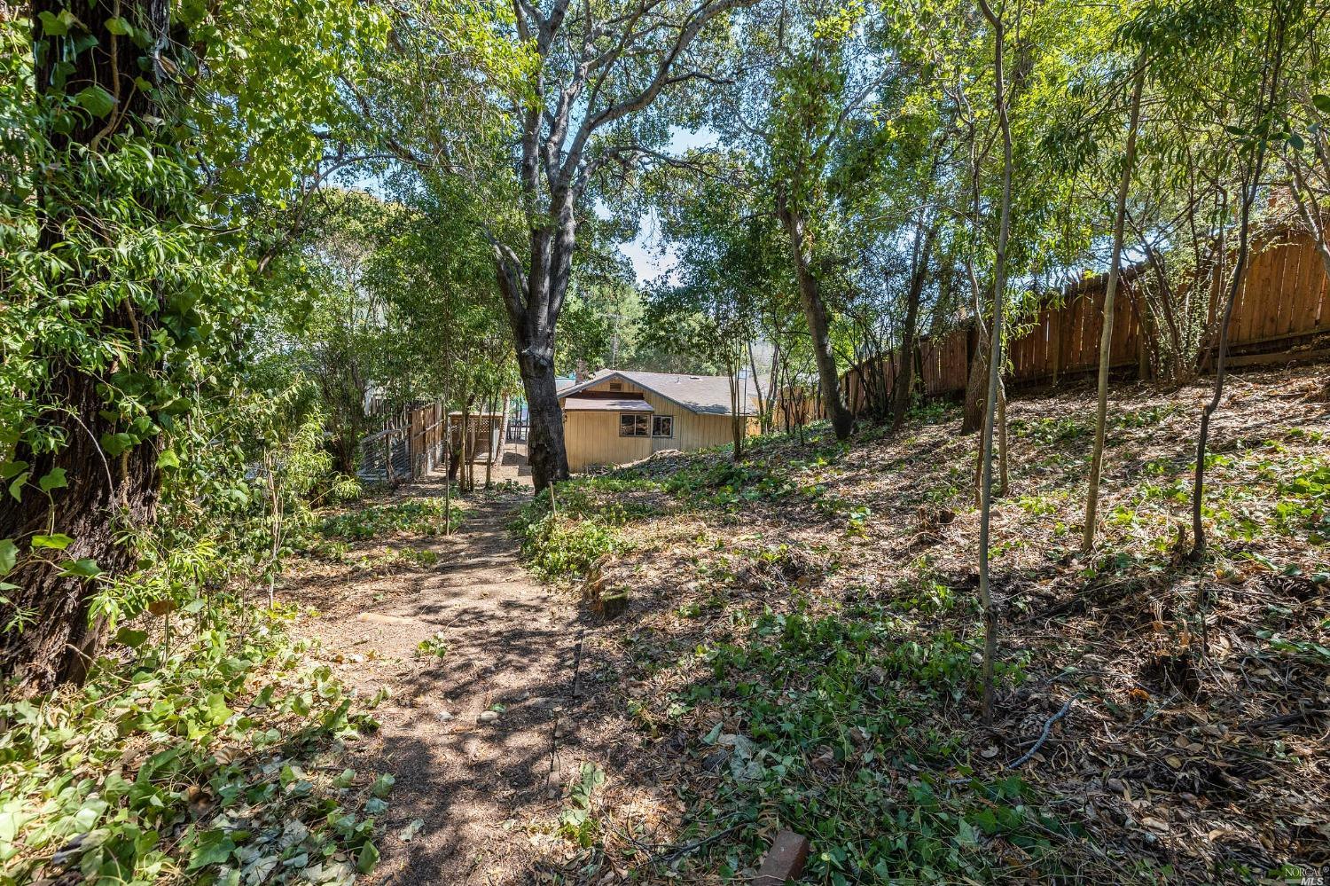 107 Butterfield Road San Anselmo, CA 94960 - Photo 1 of 1 a backyard of a house with lots of green space