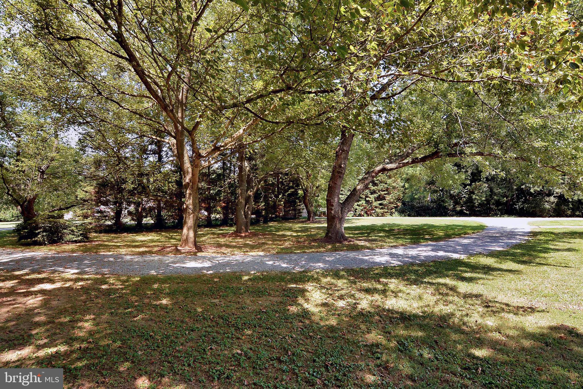 27863 Haley Road Easton, MD 21601 - Photo 72 of 72 Gallery Image 72