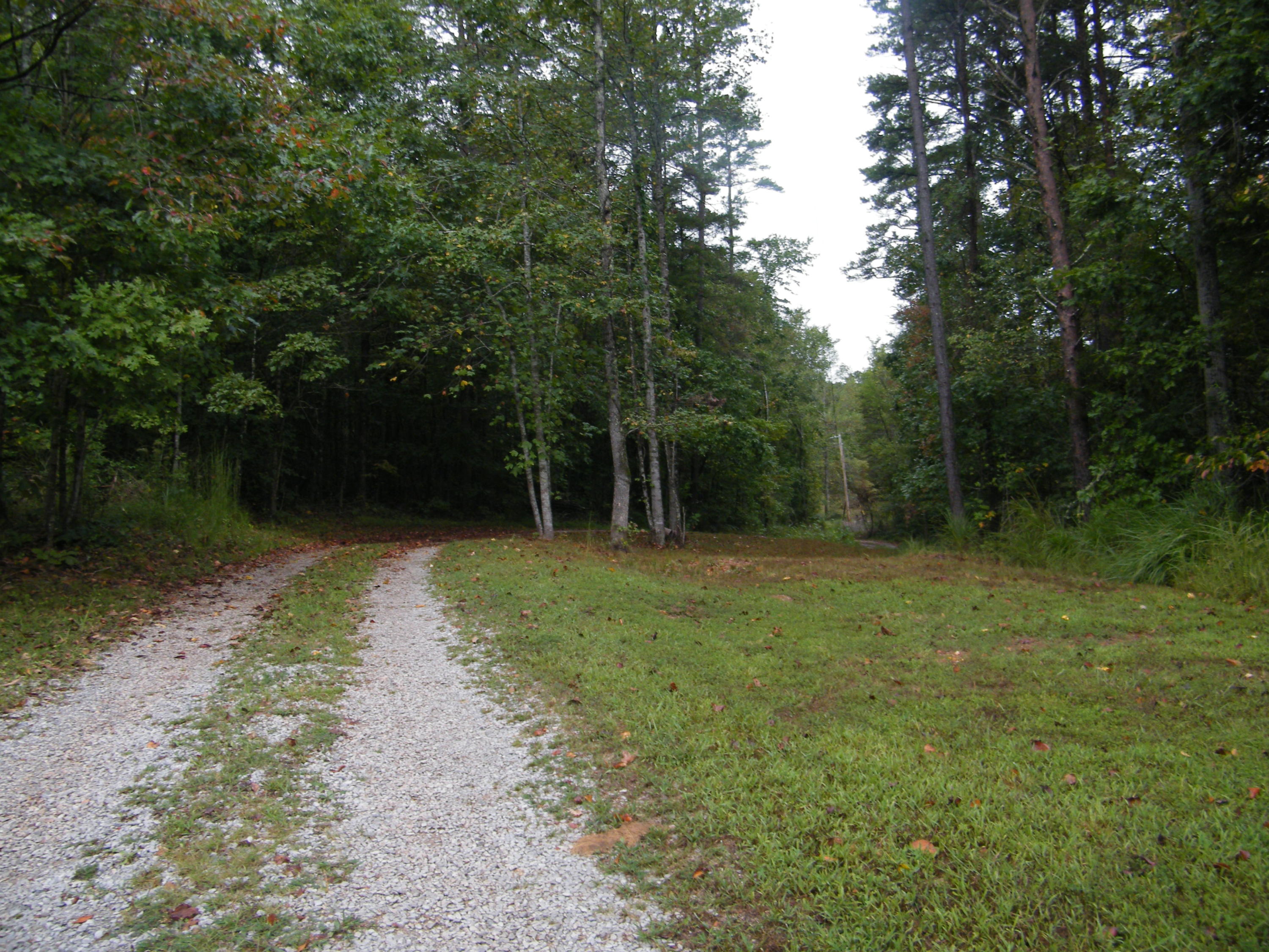 120 Clower Road Kingston, TN 37763 - Photo 3 of 15 DSCF0979