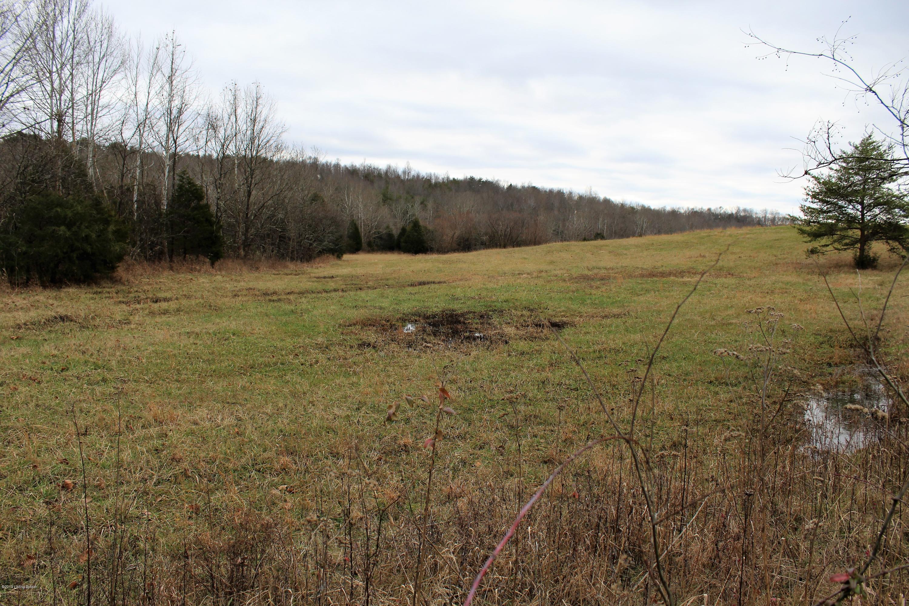 11680 Grayson Springs Road Clarkson, KY 42726 - Photo 7 of 9 IMG_1373