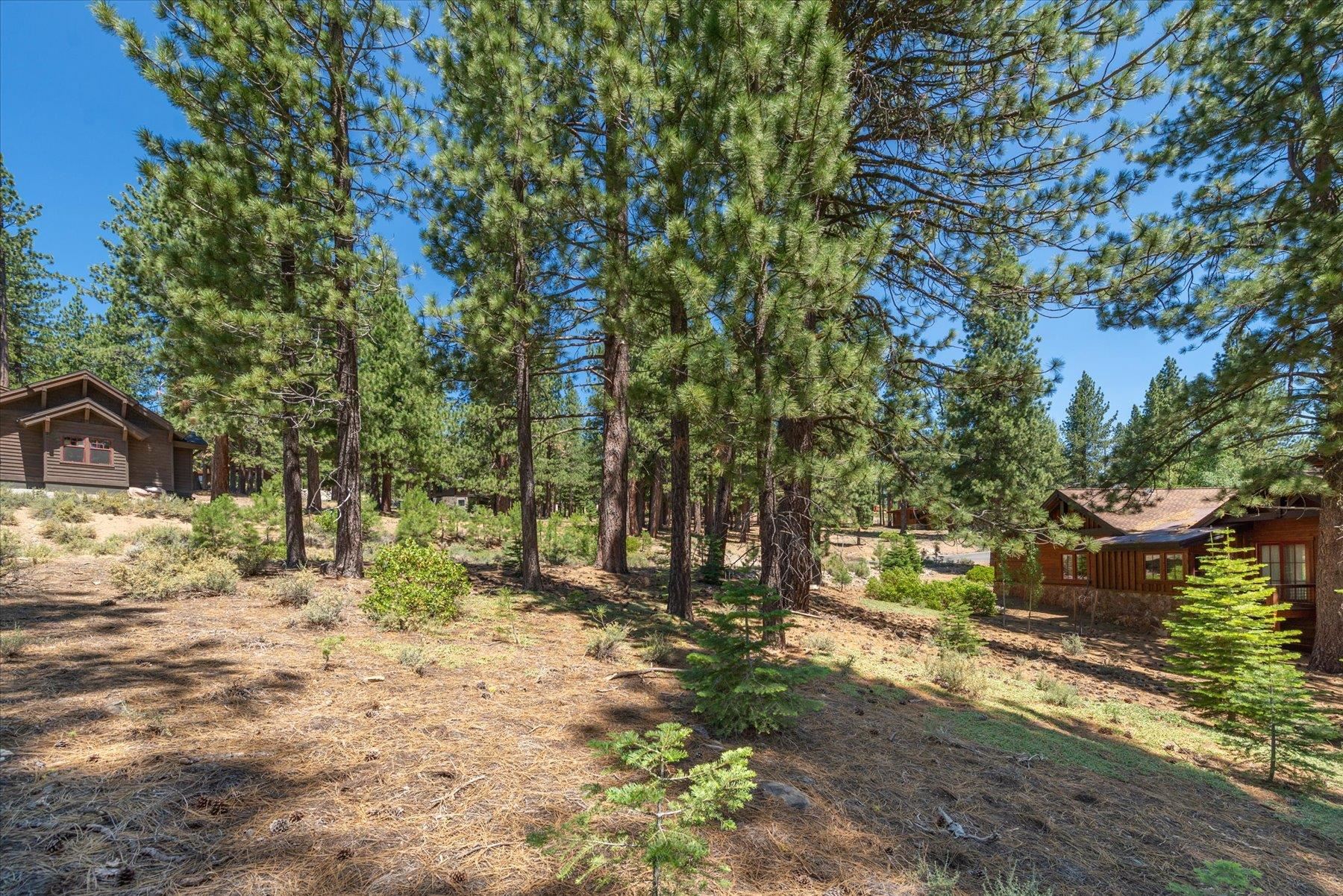 11417 China Camp Road Truckee, CA 96161 - Photo 11 of 19