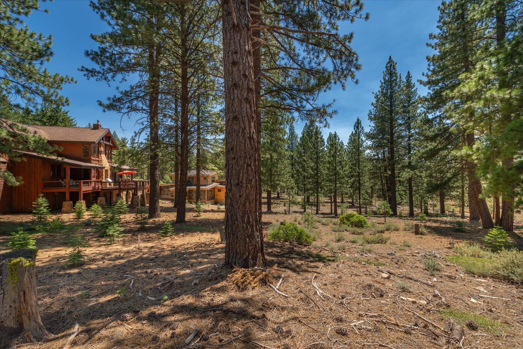 11417 China Camp Road Truckee, CA 96161 - Photo 12 of 19