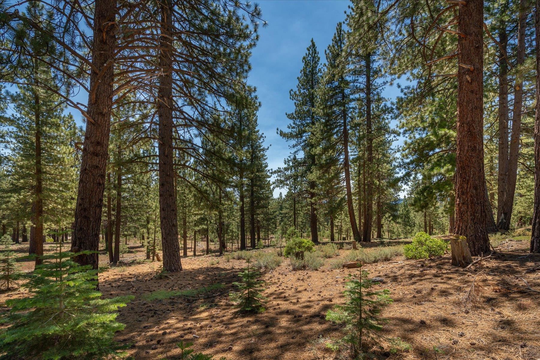11417 China Camp Road Truckee, CA 96161 - Photo 13 of 19