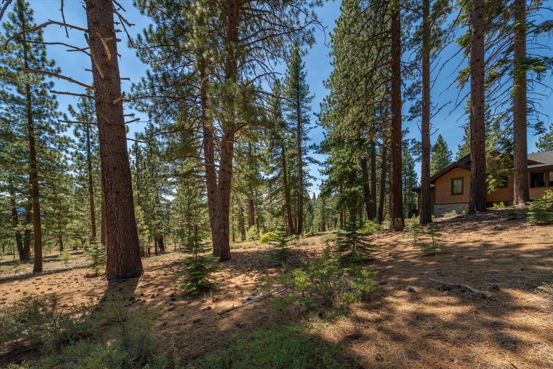 11417 China Camp Road Truckee, CA 96161 - Photo 14 of 19