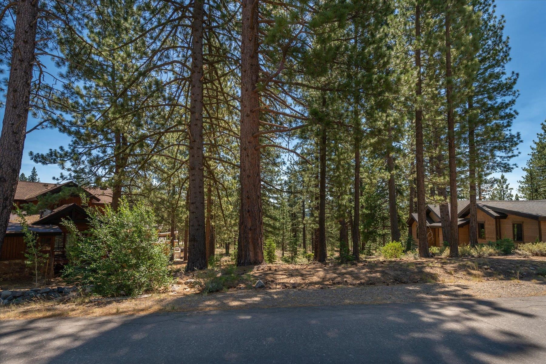 11417 China Camp Road Truckee, CA 96161 - Photo 18 of 19