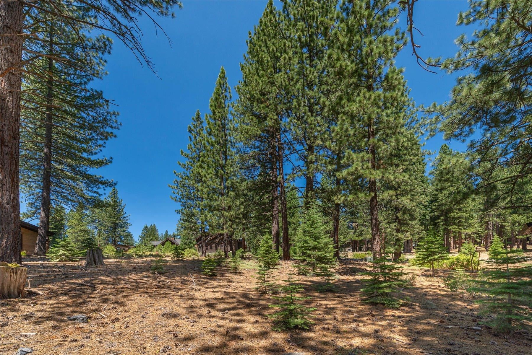 11417 China Camp Road Truckee, CA 96161 - Photo 2 of 19