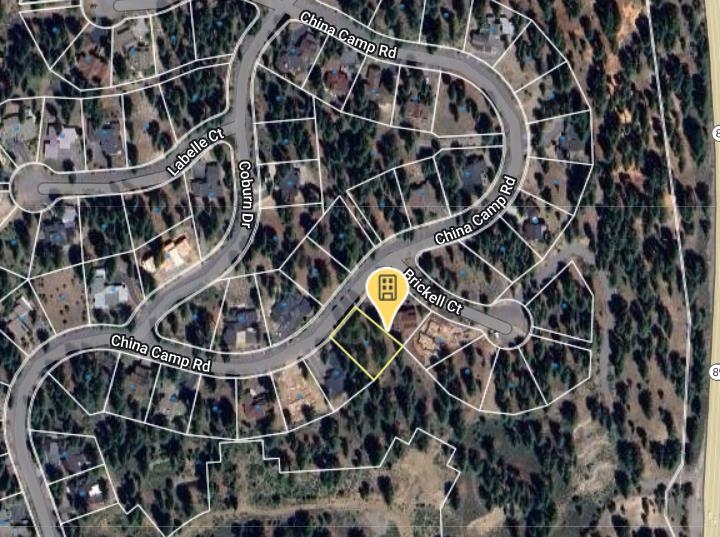 11417 China Camp Road Truckee, CA 96161 - Photo 3 of 19